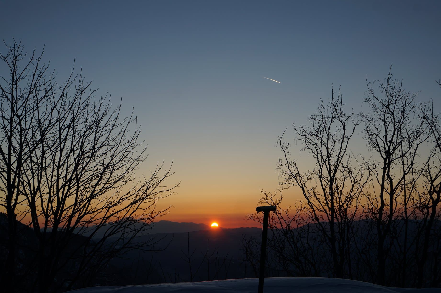 Silhouetted bare trees against a warm sunset sky, a calm closing moment